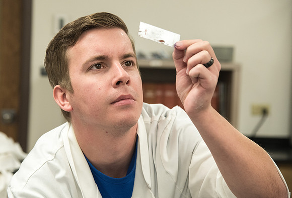 Students work in Brother Griffith's Microbiology Lab.