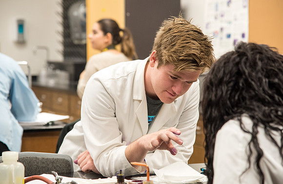 Students work in Brother Griffith's Microbiology Lab.