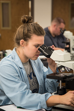 Students work in Brother Griffith's Microbiology Lab.