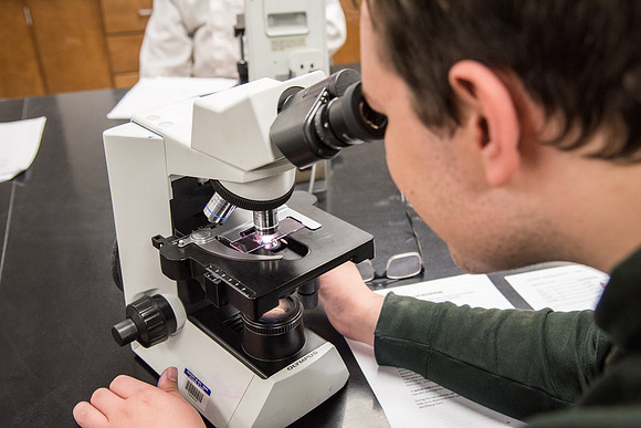 Students work in Brother Griffith's Microbiology Lab.