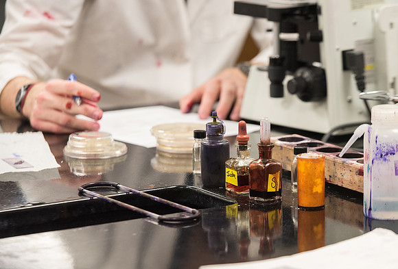 Students work in Brother Griffith's Microbiology Lab.