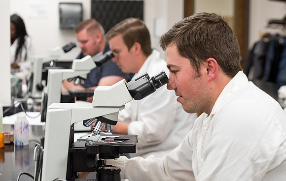 Students work in Brother Griffith's Microbiology Lab.