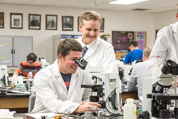 Students work in Brother Griffith's Microbiology Lab.