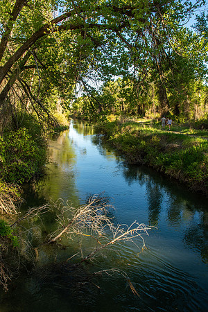 A beautifully developed trail on the South Fork of the Snake River just North of Heise, winds up the hillside to Cress Creek, aptly named for the water cress that grows so abundantly in the creek.