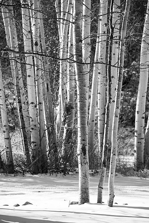 Media Creation Cinematography Retreat - Nov 2024