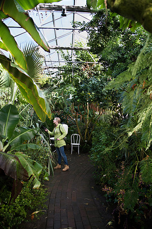 BYU-Idaho Horticulture. Greenhouse. Oct 2017