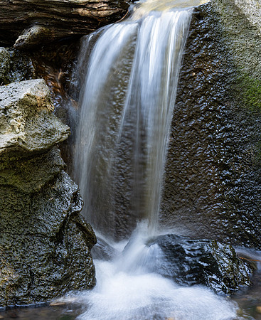 Water feature in the Ricks Horticulture Gardens.