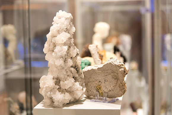 There is a variety of rocks on display in the museum in the Romney.
