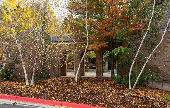 Ricks Gardens - Oct 2024
