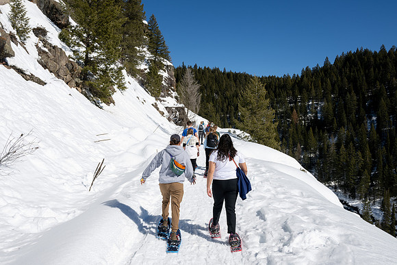 Snowshoeing at Bear Gulch - Mar 2025