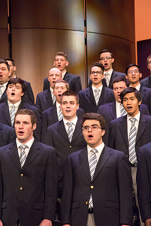 Men and women combined choir