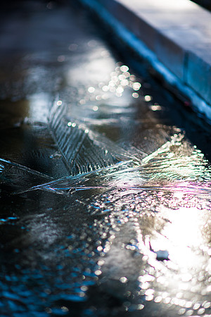 The water fountain display in the Gardens is frozen over!