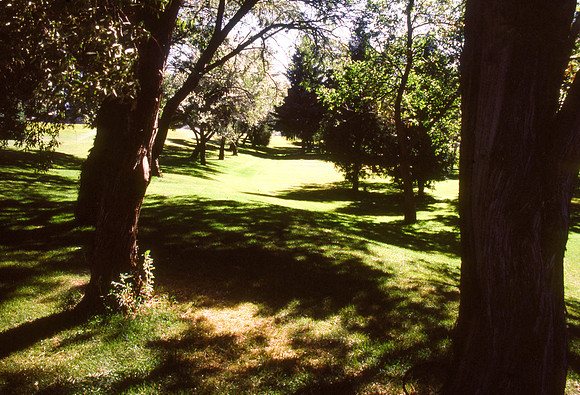 Rexburg Summer- July 1988