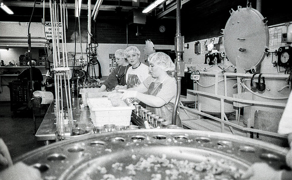 Welfare Cannery-Feb 1997