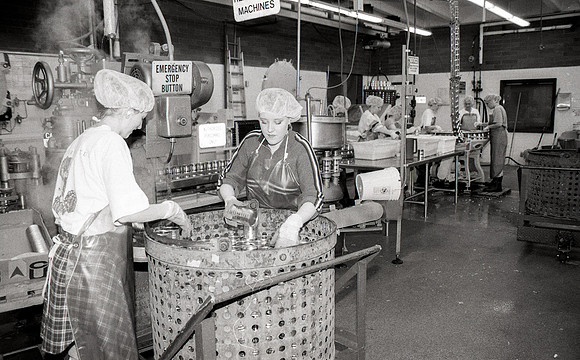 Welfare Cannery-Feb 1997
