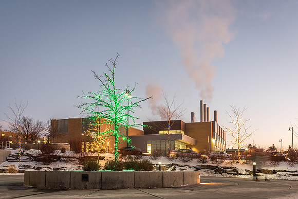 Christmas lights brighten up campus and bring in the Holiday Season. The Central Energy Facility is seen in the background.