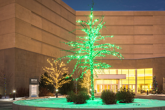 Christmas lights brighten up campus and bring in the Holiday Season. 2017