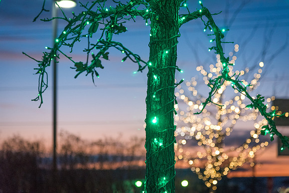 Christmas lights brighten up campus and bring in the Holiday Season. 2017
