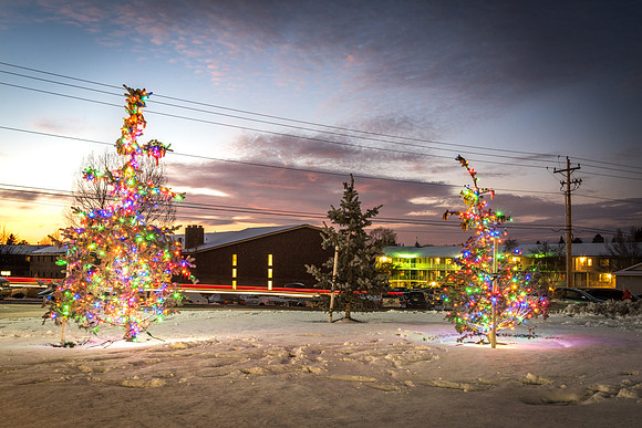 Christmas lights brighten up campus and bring in the Holiday Season. 2017