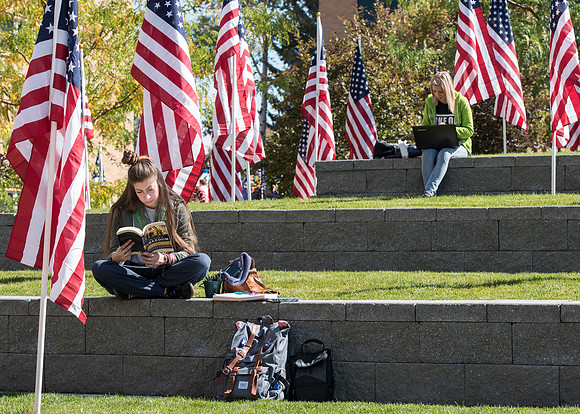 500 flags displayed in the Central Quad on Constitution Day.