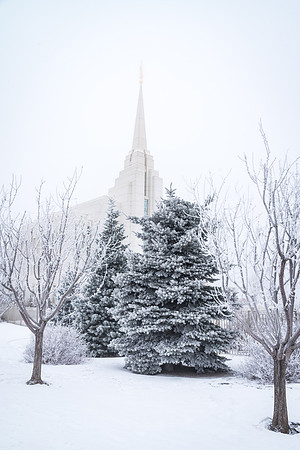 The Rexburg temple on an icy December morning. 2017