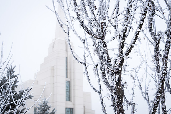 The Rexburg temple on an icy December morning. 2017