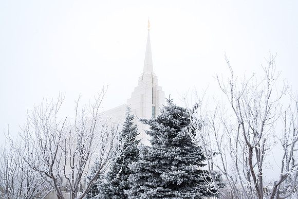 The Rexburg temple on an icy December morning. 2017