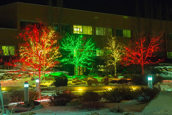 Kimball Building Campus Christmas Lights