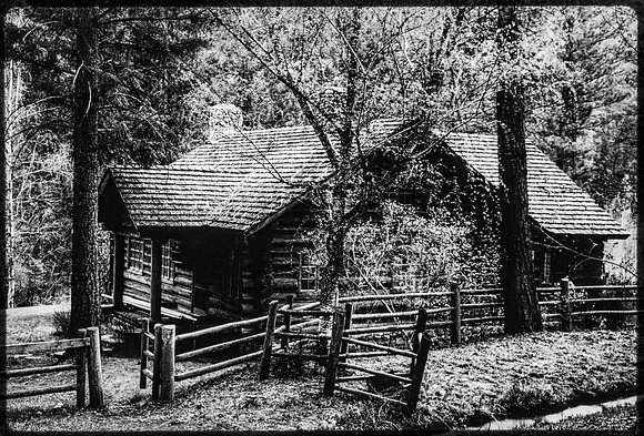 Salmon River Cabin