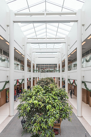 The Kimball Building still has some remnants of Christmas decoration at the start of the Winter 2018 semester.