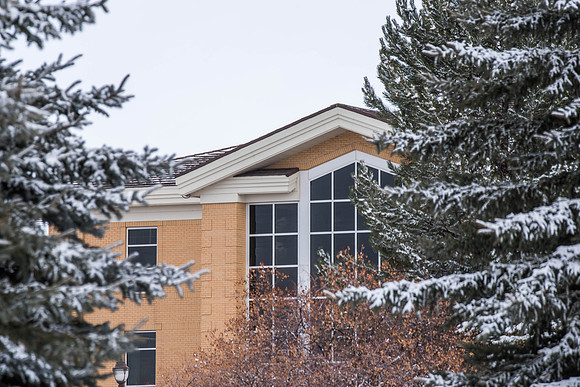 The Hinkley Building is seen through the trees in the Gardens. 2018