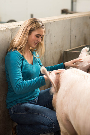 Brittin Braithwaite works with the hogs at the Livestock Center. 2018