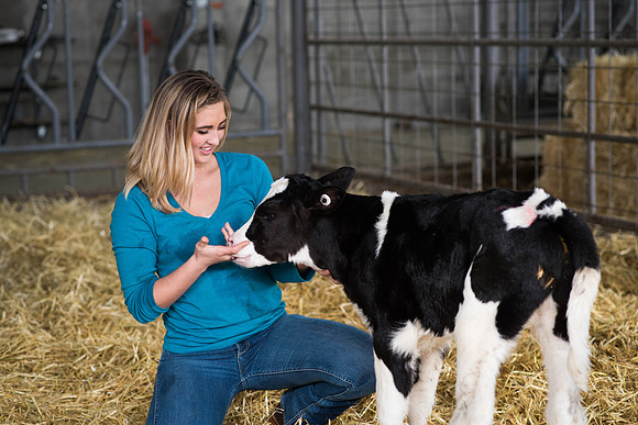Britton Braithwaite tends to a young holstein calf. 2018