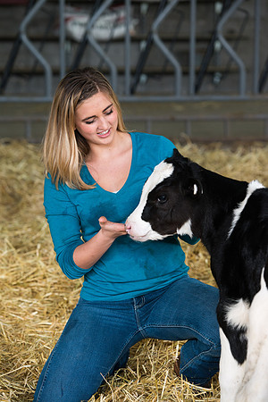Britton Braithwaite caring for a calf at the Agriculture Science Center.