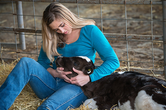 Britton Braithwaite caring for a calf at the Agriculture Science Center.