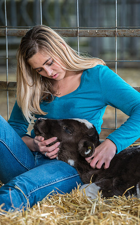 Britton Braithwaite caring for a calf at the Agriculture Science Center.