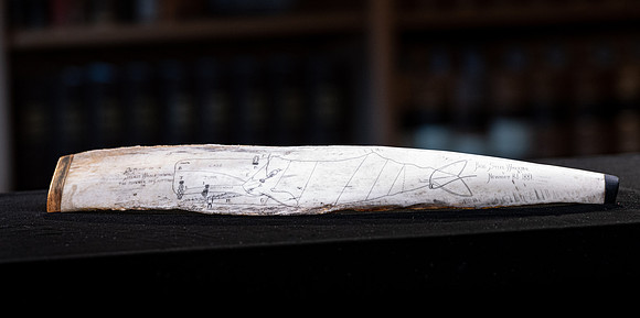 BYU-I Special Collections - June 2021