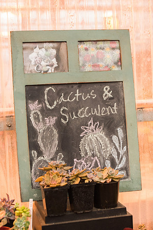 BYU-Idaho Plant Shop succulents. Feb 2018