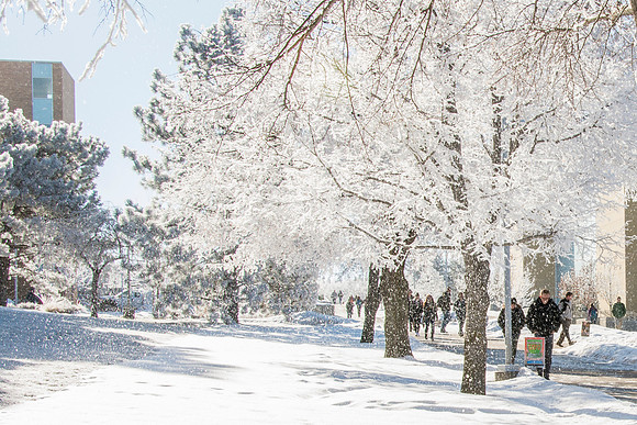 Frost covers campus early morning during Winter Semester.