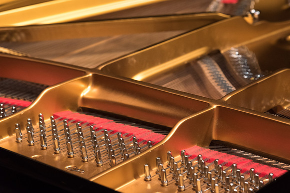 Doug Rowen, a music major, plays the Hamburg Steinway Piano in the Barrus Hall. 2018