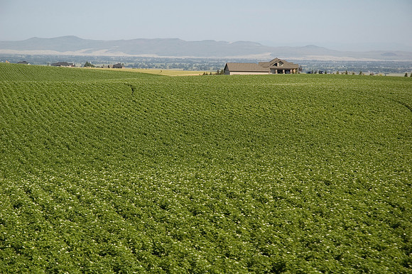 Fertile Fields