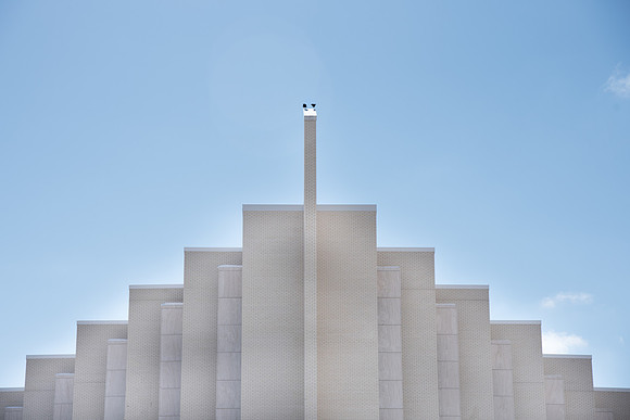 Birds on the Taylor Building