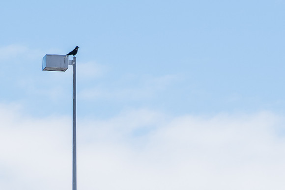 Sky- Feb 2018