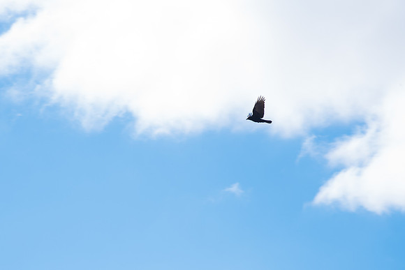Sky- Feb 2018