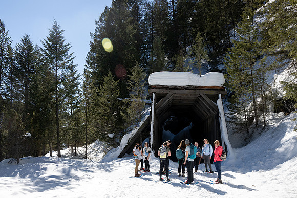 Snowshoeing at Bear Gulch - Mar 2025
