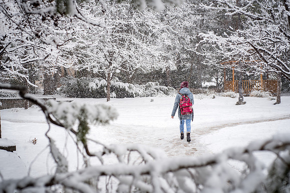 Campus is covered in a blanket of snow. 2018