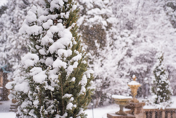 Campus is covered in a blanket of snow. 2018