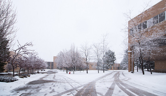 The campus is covered with snow.
