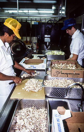 Food services, 1987