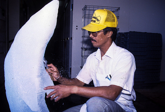 Food services, 1987